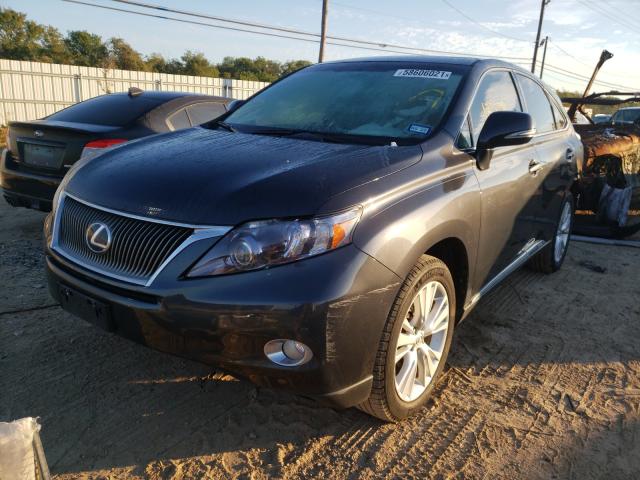 2010 LEXUS RX 450 JTJZB1BA9A2000188