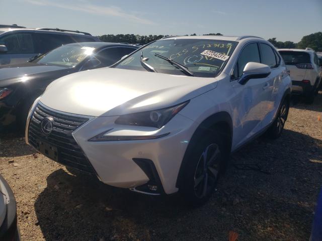 2021 LEXUS NX 300H BA JTJGJRDZ2M5015064