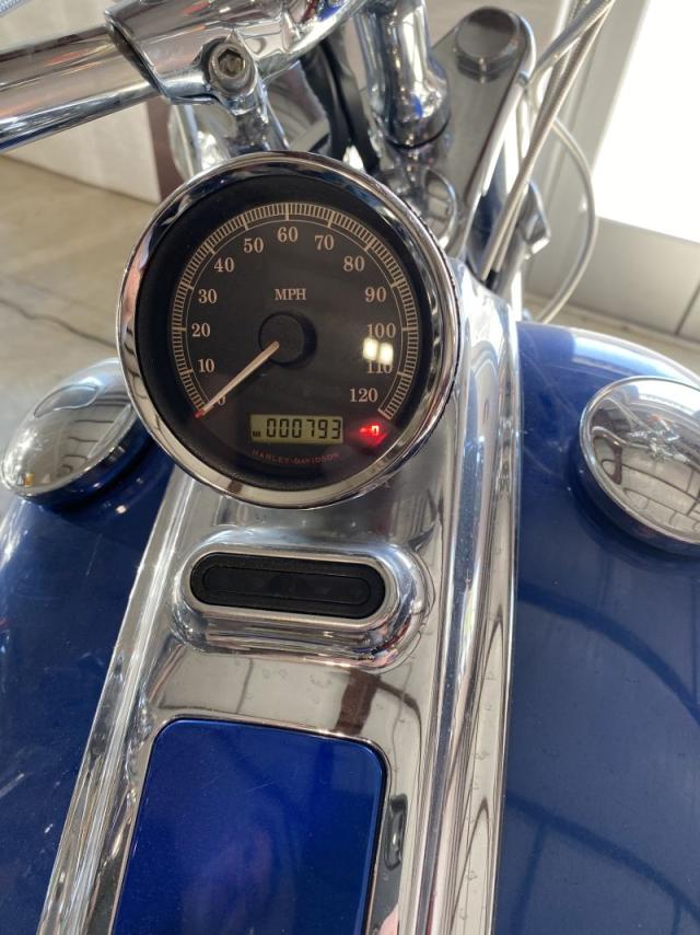 2009 HARLEY-DAVIDSON FXCWC 1HD1JK5159Y046497
