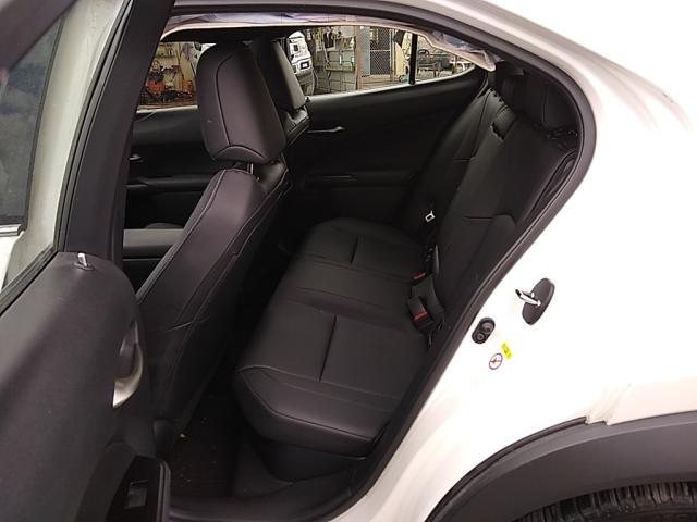 2019 LEXUS UX 250H JTHU9JBH8K2001385
