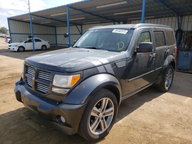 2011 DODGE NITRO SHOC 1D4PU7GX5BW559836