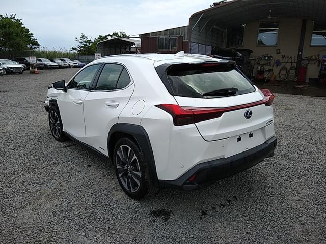 2019 LEXUS UX 250H JTHU9JBH8K2001385