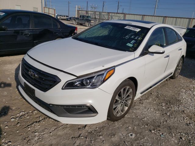 2016 HYUNDAI SONATA GL 5NPE34AF8GH436518