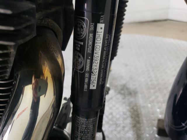 2002 HARLEY-DAVIDSON FXDL 1HD1GDV392Y328756