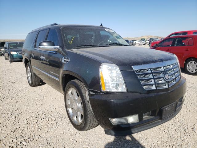 2011 CADILLAC ESCALADE E 1GYS4JEF5BR105934