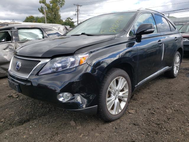 2010 LEXUS RX 450 JTJBC1BA5A2015480