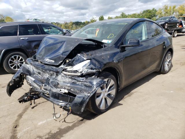 2021 TESLA MODEL Y 5YJYGDEE1MF067546