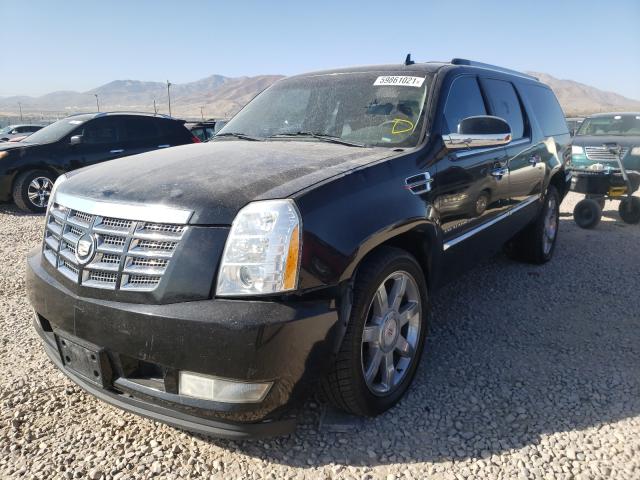 2011 CADILLAC ESCALADE E 1GYS4JEF5BR105934