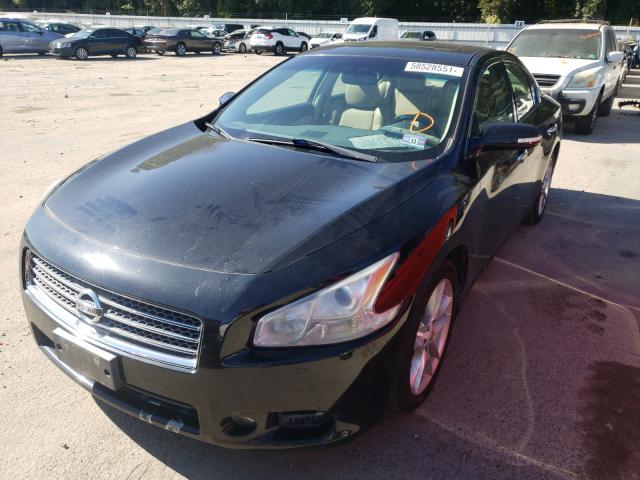 2010 NISSAN MAXIMA 1N4AA5AP8AC871261