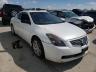 NISSAN ALTIMA 2008 foto