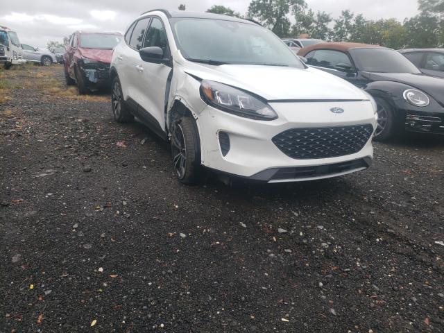 Salvage cars for sale from Copart Marlboro, NY: 2020 Ford Escape SE