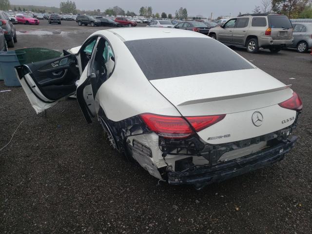 2019 MERCEDES-BENZ CLS AMG 53 WDD2J6BB1KA029534