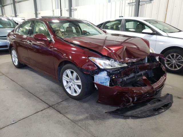 Salvage cars for sale from Copart Ham Lake, MN: 2008 Lexus ES 350