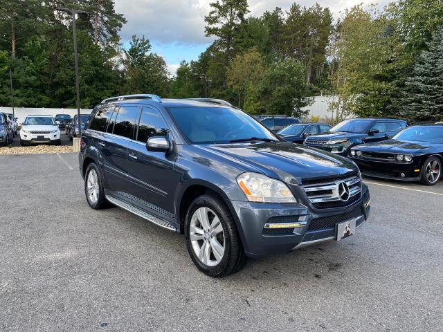 2010 MERCEDES-BENZ GL 450 4MA 4JGBF7BE7AA549811