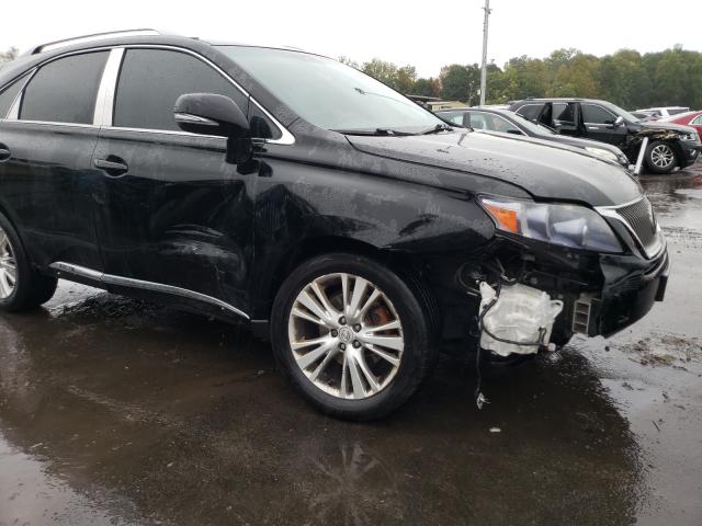 2010 LEXUS RX 450 JTJBC1BA3A2012075