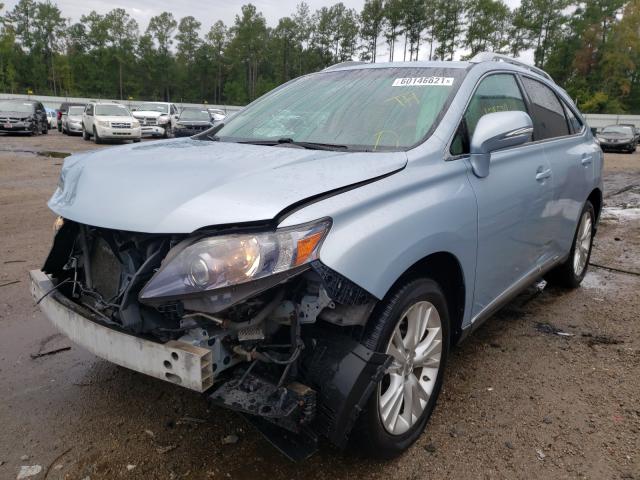 2010 LEXUS RX 450 JTJBC1BA1A2016495