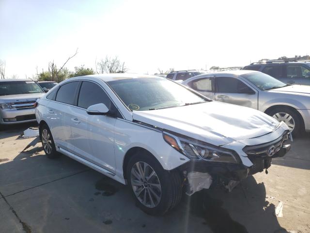 2016 HYUNDAI SONATA SPO 5NPE34AF7GH278351