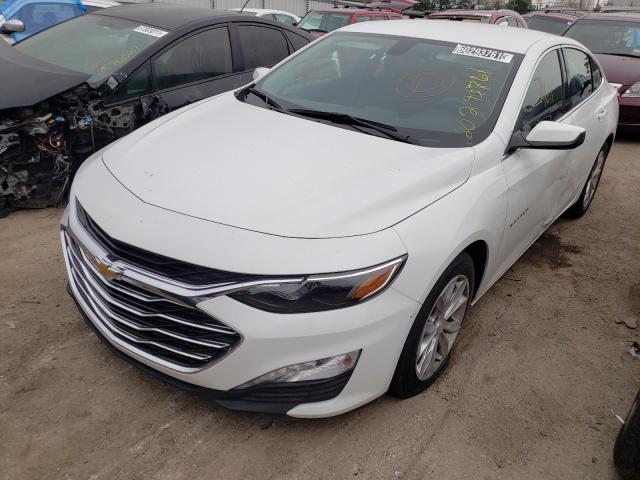 2019 CHEVROLET MALIBU LT 1G1ZD5ST4KF167244