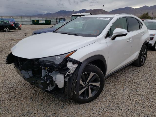 2021 LEXUS NX 300H BA JTJGJRDZ8M5012735