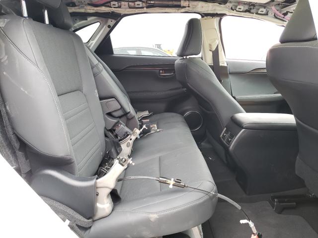 2021 LEXUS NX 300H BA JTJGJRDZ8M5012735