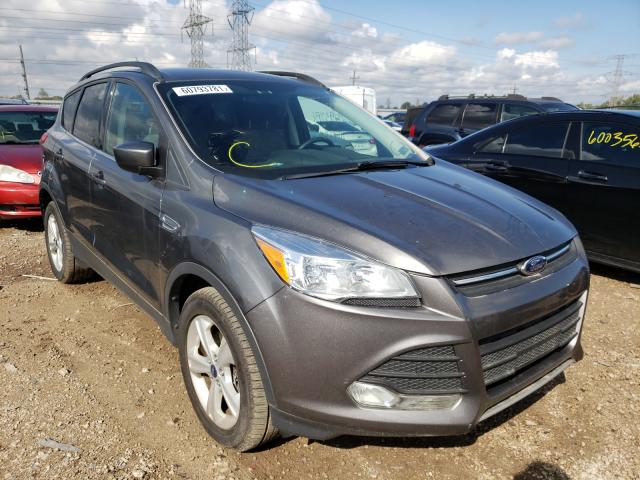 Vehiculos salvage en venta de Copart Elgin, IL: 2014 Ford Escape SE