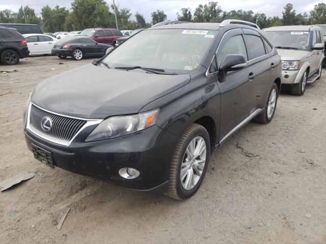2010 LEXUS RX 450 JTJBC1BA4A2012926