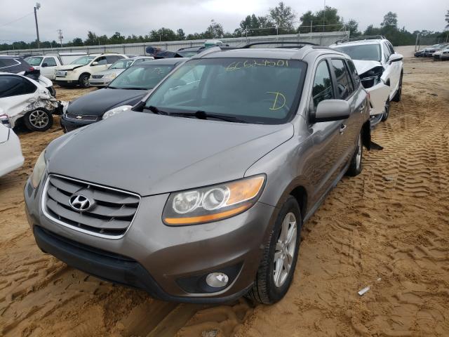 2011 HYUNDAI SANTA FE L 5XYZK3AB5BG039795