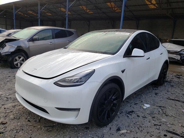 2021 TESLA MODEL Y 5YJYGDEE2MF065837