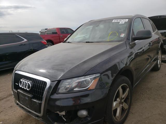 2010 AUDI Q5 PRESTIG WA1VKBFP1AA036558