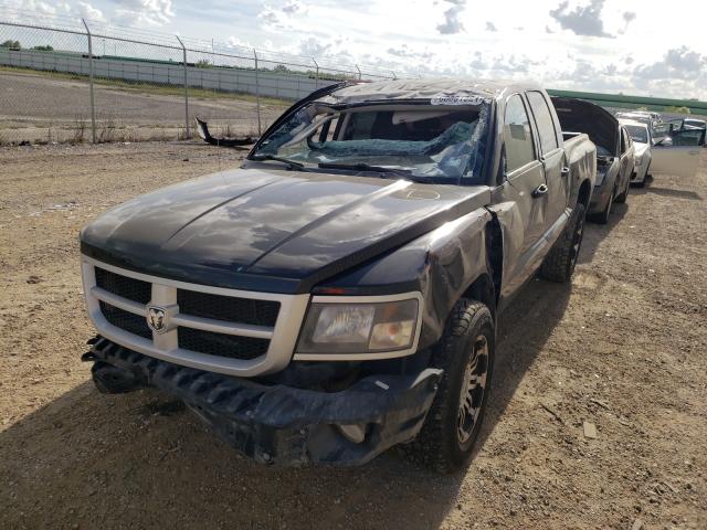 2011 DODGE DAKOTA SLT 1D7RE3GK0BS610964