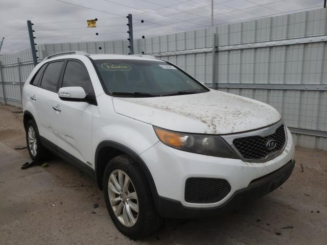 2011 KIA SORENTO BA 5XYKTDA27BG079512