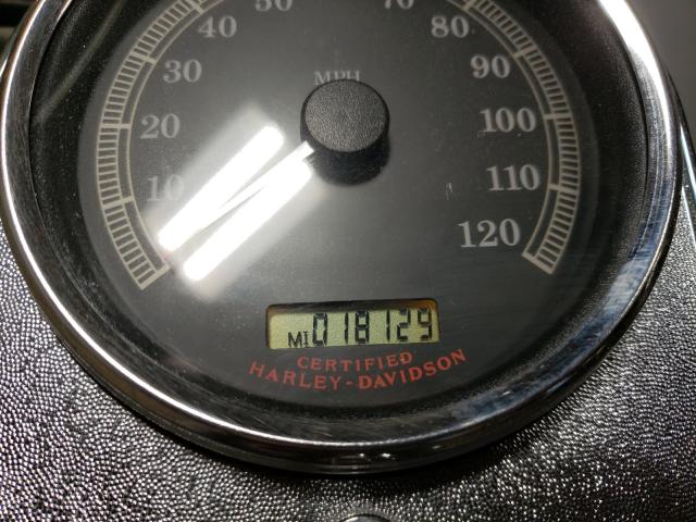 2004 HARLEY-DAVIDSON FLSTCI 1HD1BWB194Y066172