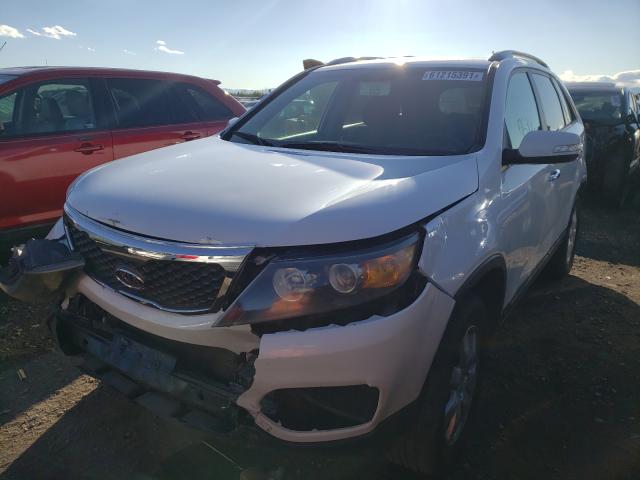 5XYKT4A28BG146649 Kia Sorento Ba 2011. Фото: 1