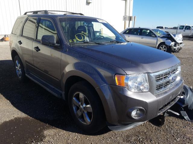 Ford Escape Blue 2010