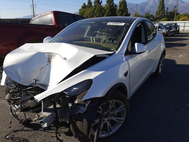 2021 TESLA MODEL Y 5YJYGDEE8MF095117