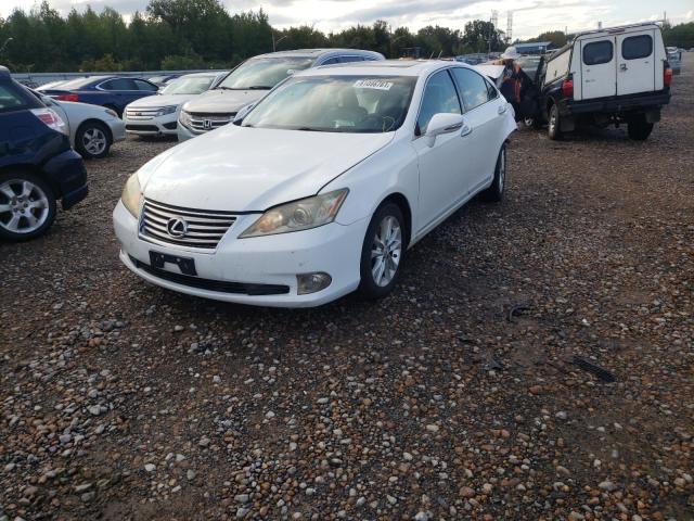 2010 LEXUS ES 250 JTHBK1EG9A2347040