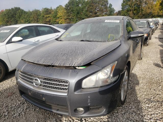2010 NISSAN MAXIMA 1N4AA5AP6AC802441
