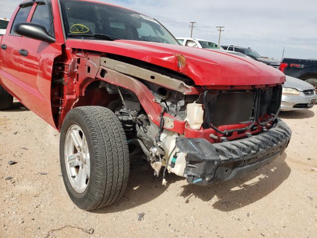 2011 DODGE DAKOTA SLT 1D7RE3GK5BS636329