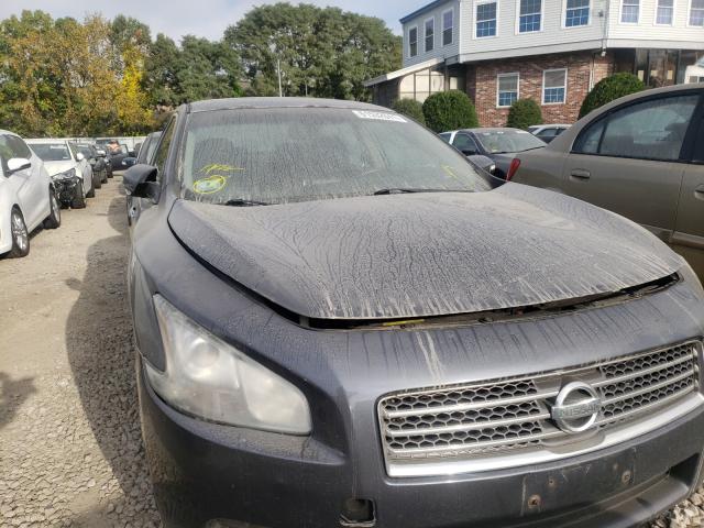 2010 NISSAN MAXIMA 1N4AA5AP6AC802441