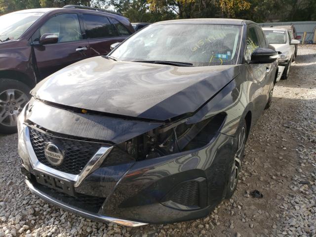 2020 NISSAN MAXIMA SV 1N4AA6CV5LC379226