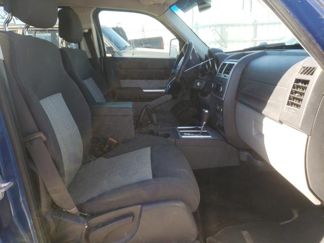 2010 DODGE NITRO SXT 1D4PU5GX2AW112514