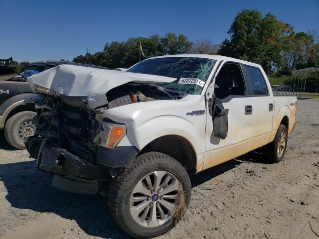 2013 FORD F-150 1FTFW1EF2DKG16997