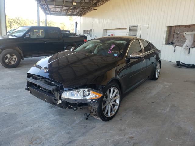 2013 JAGUAR XJ SAJWJ1CD1D8V46181
