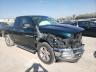 DODGE RAM 1500 2011 foto