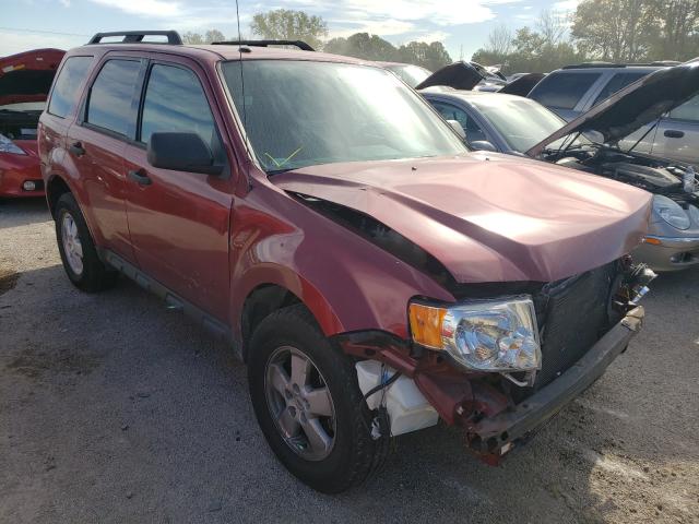 Salvage cars for sale from Copart Milwaukee, WI: 2012 Ford Escape XLT