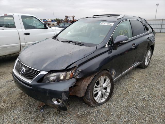 2010 LEXUS RX 450 JTJBC1BA2A2012052