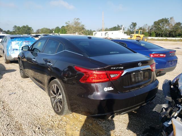 1N4AA6AP3GC382152 Nissan Maxima 3.5 2016. Фото: 2