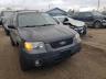 2007 FORD  ESCAPE