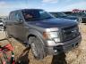 2014 FORD  F-150