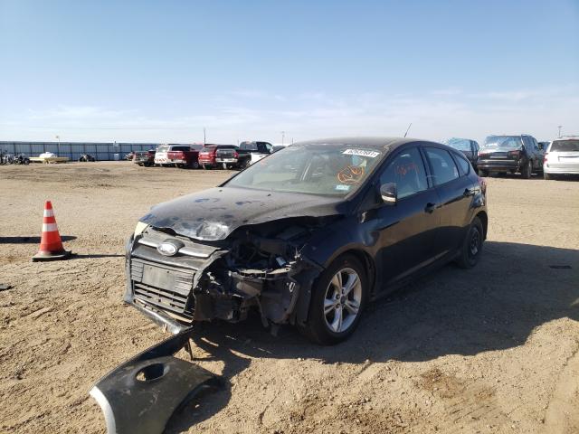 1FADP3K22DL238021 Ford Focus Se 2013. Фото: 1